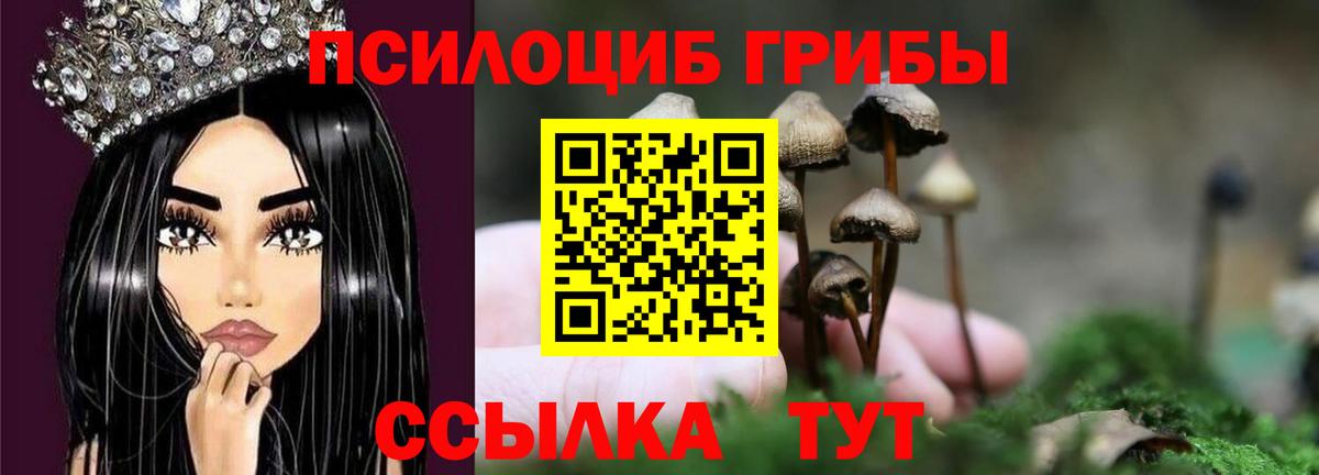 Галлюциногенные грибы MAGIC MUSHROOMS  Псилоцибиновые грибы Psilocybine cubensis  Вход с VPN  Губкин 